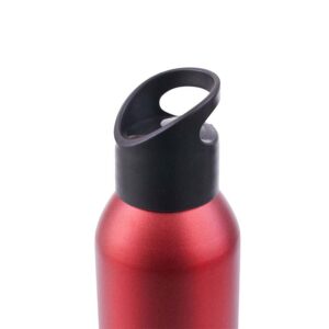 Botella Penguin - Imagen 2