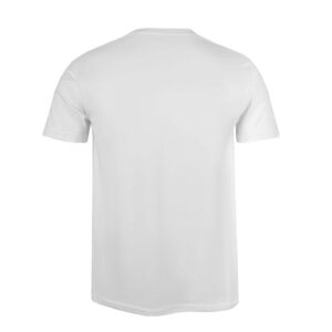 Remera Toay - Imagen 3